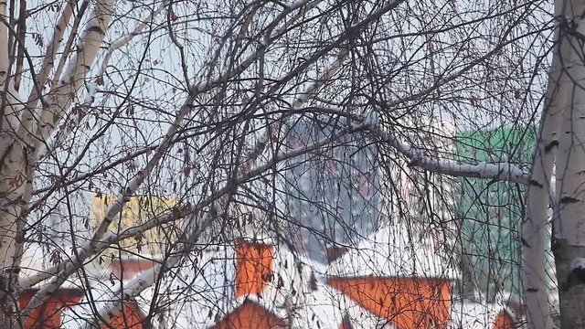 Moscow city birch snow hd footage December 