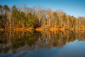 Country Park in Winter