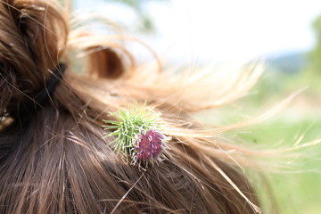 Fleur aux cheveux