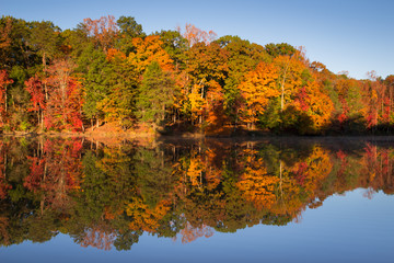 Country Park in the Fall