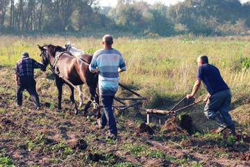 Peasants plow the field with horses