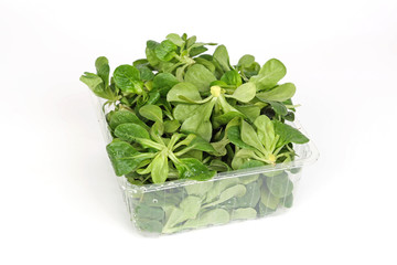150 Gramm Feldsalat