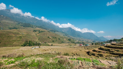 Rice Field below Mountain