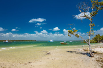 Tropical beach with trees on the east side of Bribie Island, Queensland, Australia