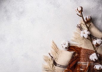 Cotton branch and blanket on light background
