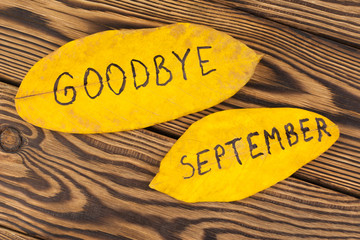 Handwritten inscription of black color GOODBYE and SEPTEMBER on yellow falling autumn leaves on old...