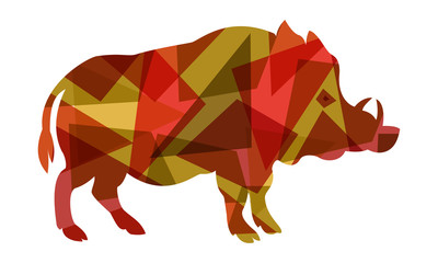 Boar vector colourful