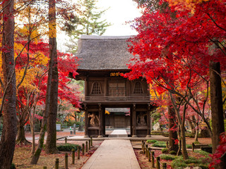 紅葉、平林寺の秋