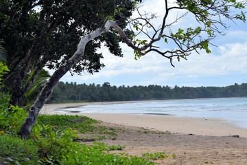 Fototapeta na wymiar Beautiful sandy beach. Philippines. Palawan.