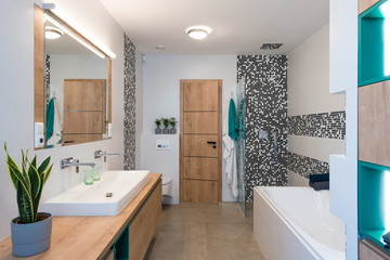 Inteior of modern bathroom with shower