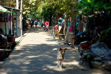 Fototapeta premium ミャンマー ダラ地区