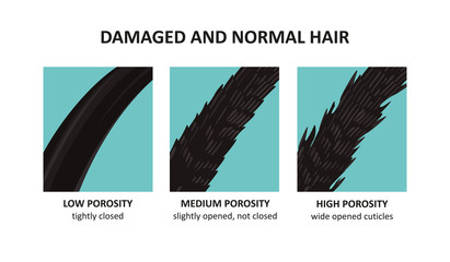 damaged and normal hair