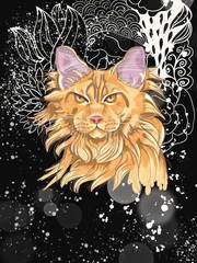 Serious cat on space background