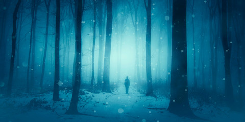 magical winter scene, man walking on snowy path in forest