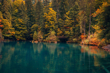 Autumn time at romantic forest lake Blausee, Switzerland.