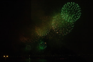 fireworks in the sky