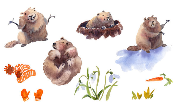 Happy Groundhog Day - hand drawn watercolor collection illustrations character card groundhog