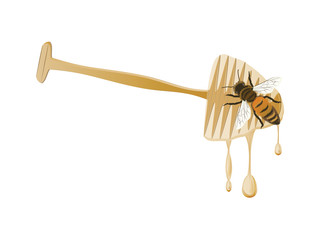 Honey spoon - flowing drops, bee - isolated on white background - vector. Natural product concept