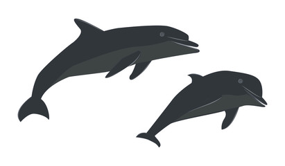 Two funny dolphins - flat style, isolated on white background - vector