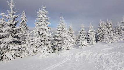 Winter landscape in the mountains