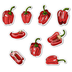 Collection of stickers of red  hand drawn sweet peppers. Ink and colored sketch  on white  background. Whole and sliced objects.