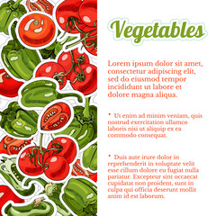 Composition of  green and red   hand drawn sweet peppers. Ink and colored sketch.Whole and sliced elements.Template for design.