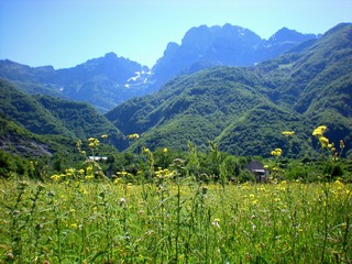 Naklejka na ściany i meble Alpine meadow in the Albanian highlands, Theth, Albania