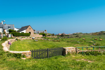 Fototapeta na wymiar Ile de Bréhat, Bretagne, Côte de Granit Rose