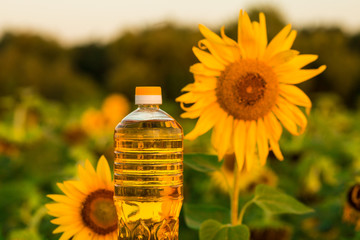 Man's hand hold bottle of sunflower oil. Sunflower oil improves skin health