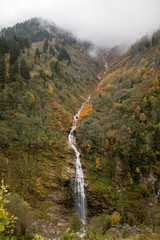 Beautiful Waterfall in Forest in Mountains