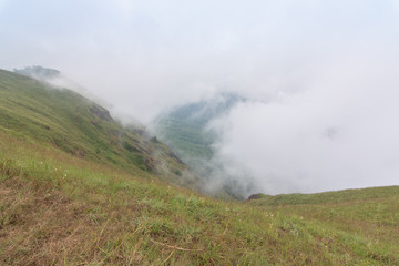 Fototapeta na wymiar fog and green grass hill top of the mountain at mon jong doi, Thailand