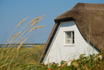 Fototapeta na wymiar Coastal landscape with a typical thatched building at Baltic Sea coast on sunny summer day, Ahrenshoop, Darss, Germany. The Darss is the middle part of the peninsula of Fischland-Darss-Zingst