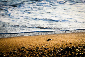 beach waves