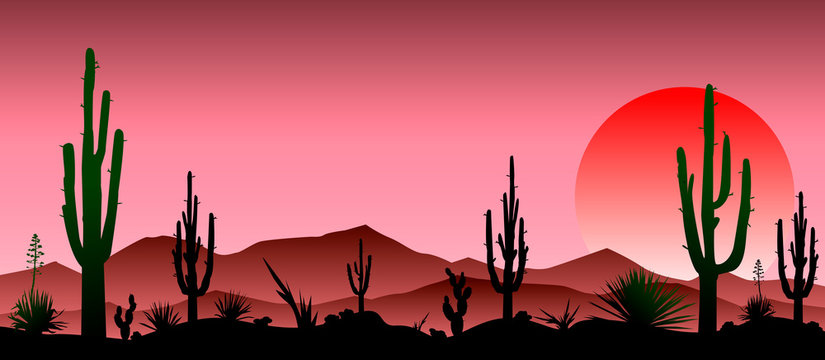 Red stony desert, cacti, sunset. Desert landscape with cacti. Silhouettes of stones, cacti and plants 