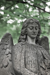 Obraz premium The Sorrowful Angel. Face of a grieving angel woman against a background of foliage