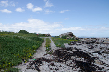 road by the beach