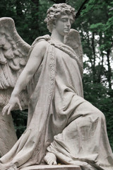 The Sorrowful Angel.