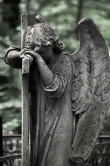 The Sorrowful Angel. Weeping Angel with a Cross