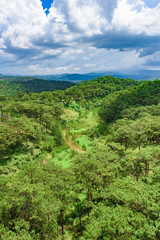 Fototapeta na wymiar jungle view from the top