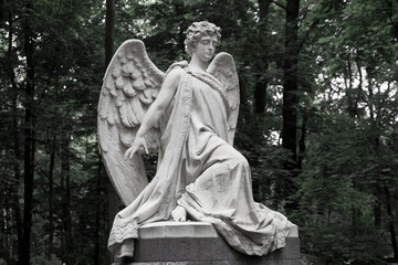 The Sorrowful Angel.