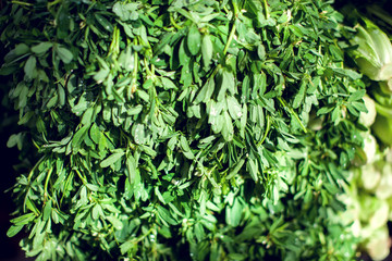 Fresh herbs dill, parsley, spinach, mint, wild garlic at market.