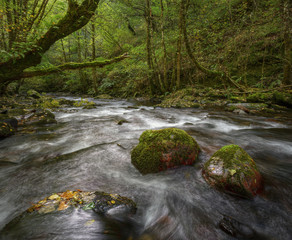 Fantasy look in a river of Elvish aspect