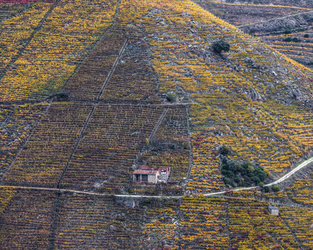 Wine exploitation in the steep rocky slopes of Ribeira Sacra