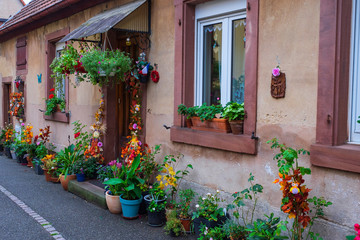 Fototapeta na wymiar Typisch dekorierte Hausfassade im Elsass/Frankreich