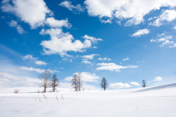 雪の丘と青空　美瑛町