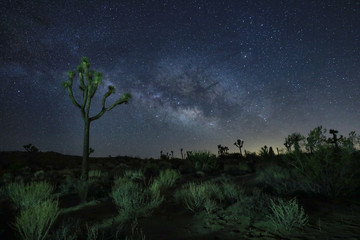 Blue Milky Way Core in the Desert of Joshua Tree National Park