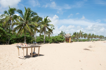 Fototapeta na wymiar Dominican Republic Beach