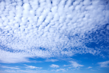 Obraz premium Blue sky background with a tiny clouds. Sunny day