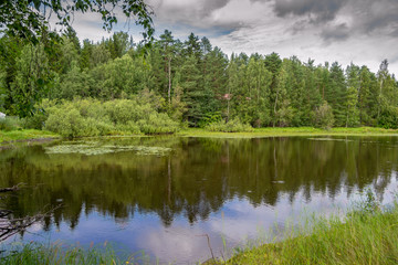 Fototapeta na wymiar Landscape of Kuopio forest close to the lakes
