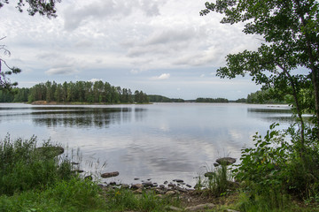 Landscape of Kuopio forest close to the lakes